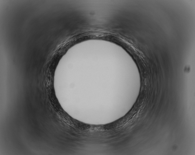 X0000100941447200806241151