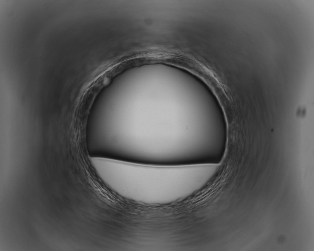 X0000100941448200806241151