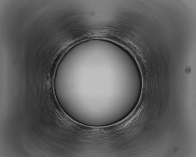 X0000100941449200806241151