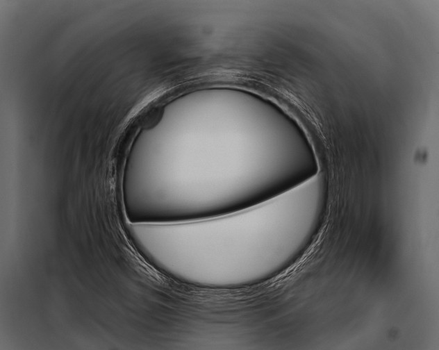 X0000100941450200806241151