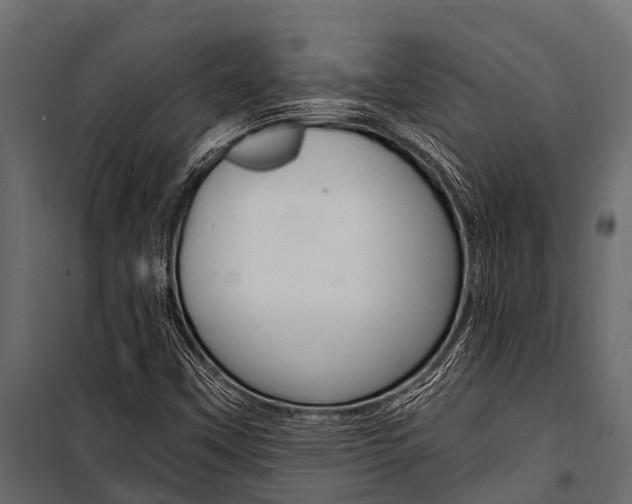X0000100941451200806241151