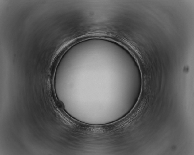 X0000100941452200806241151