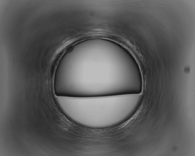 X0000100941453200806241151