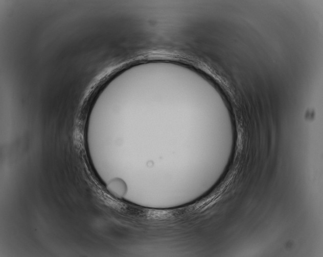 X0000100941454200806241151