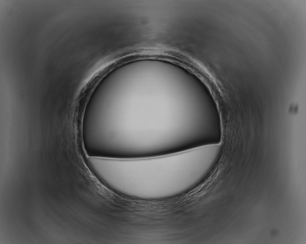 X0000100941456200806241151