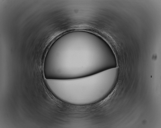 X0000100941457200806241151
