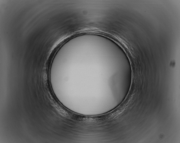 X0000100941458200806241151