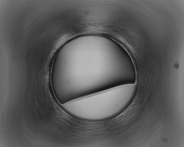 X0000100941459200806241151