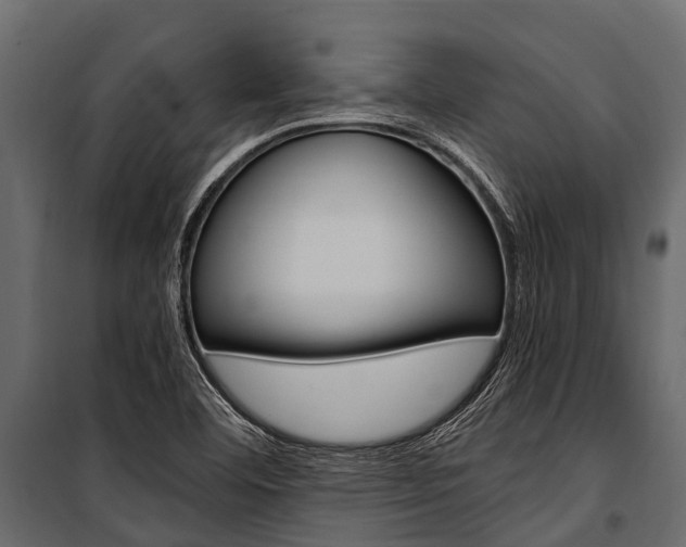 X0000100941460200806241151