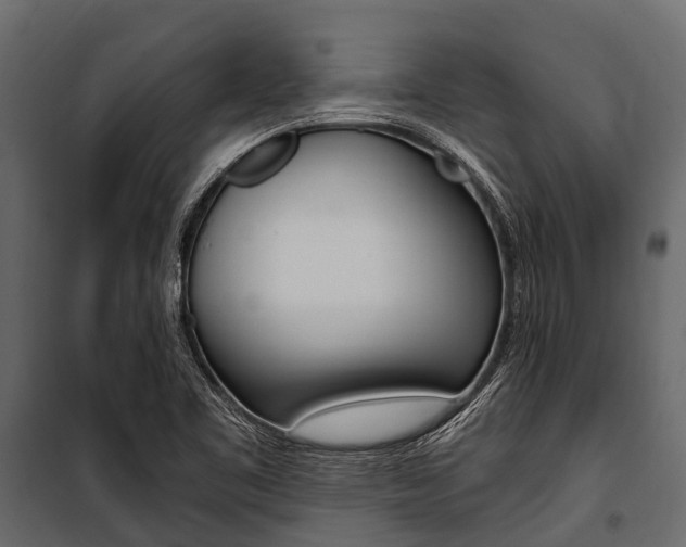 X0000100941461200806241151