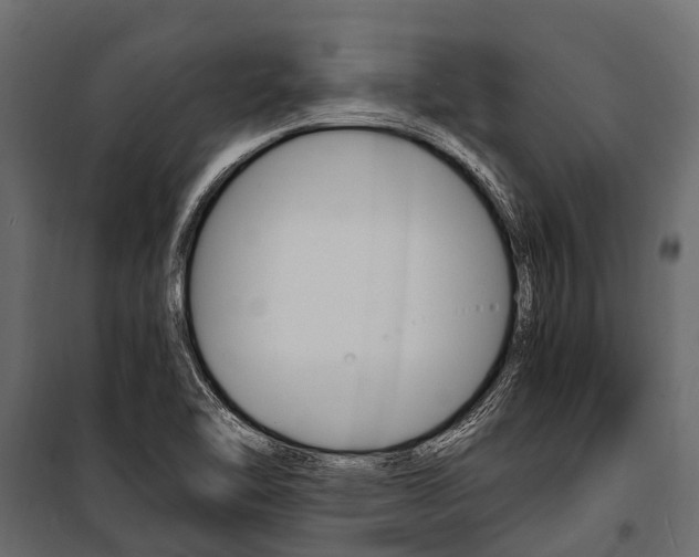 X0000100941462200806241151