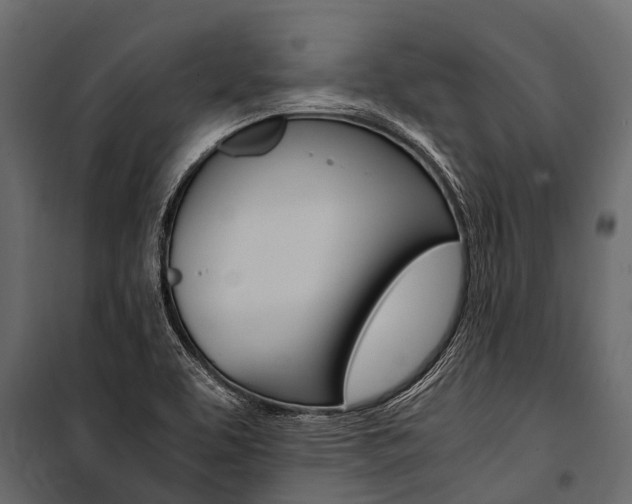X0000100941463200806241151