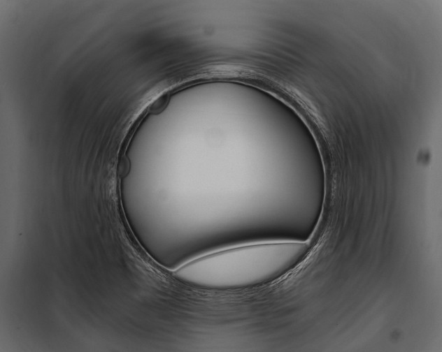 X0000100941465200806241151