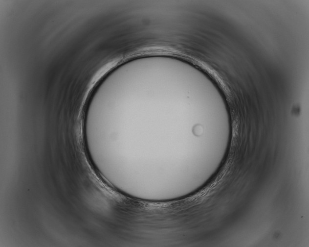 X0000100941466200806241151