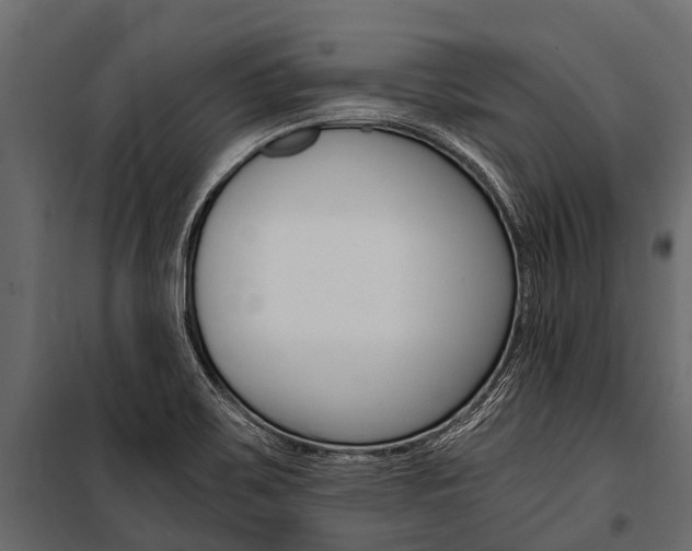 X0000100941467200806241151