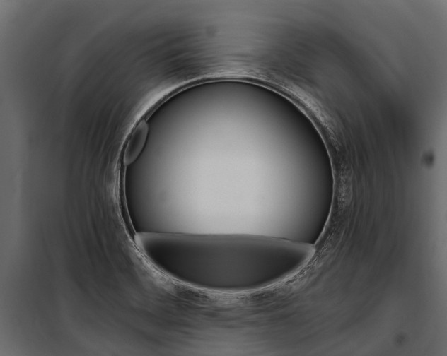 X0000100941468200806241151