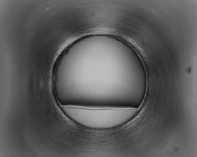 X0000100941469200806241151