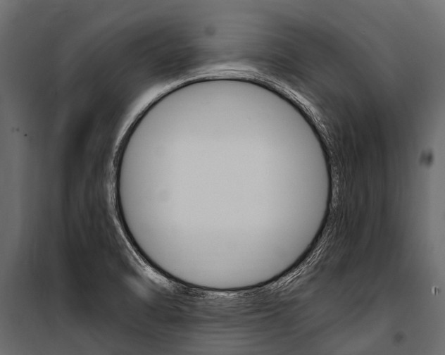 X0000100941470200806241150