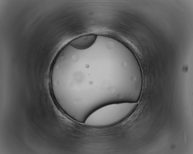 X0000100941471200806241150