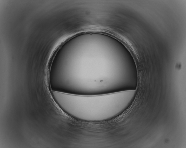 X0000100941472200806241150