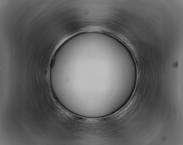 X0000100941473200806241150