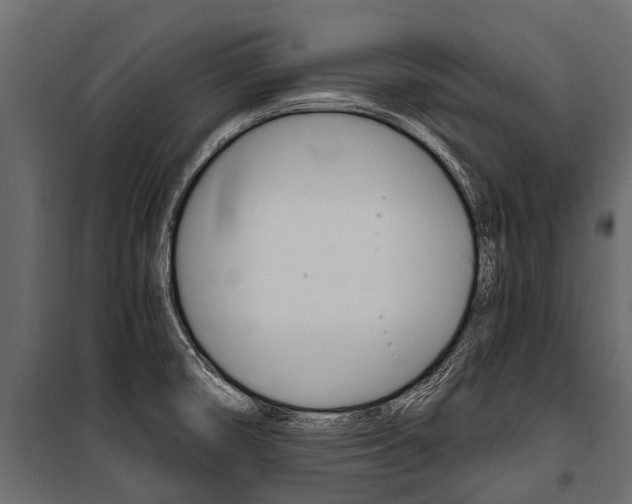 X0000100941474200806241150
