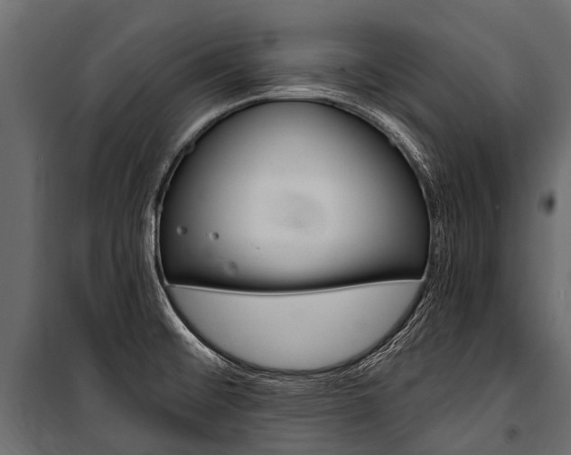 X0000100941476200806241150