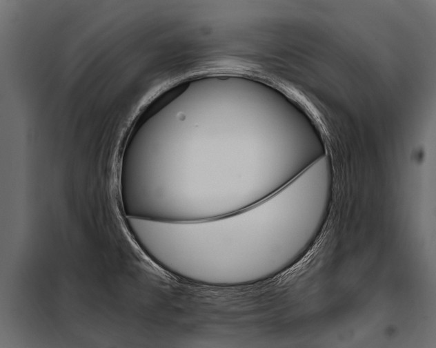X0000100941477200806241150