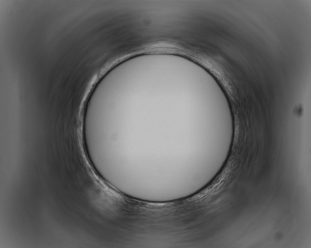 X0000100941478200806241150