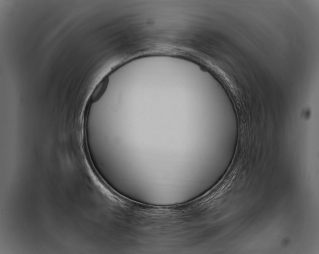 X0000100941479200806241150