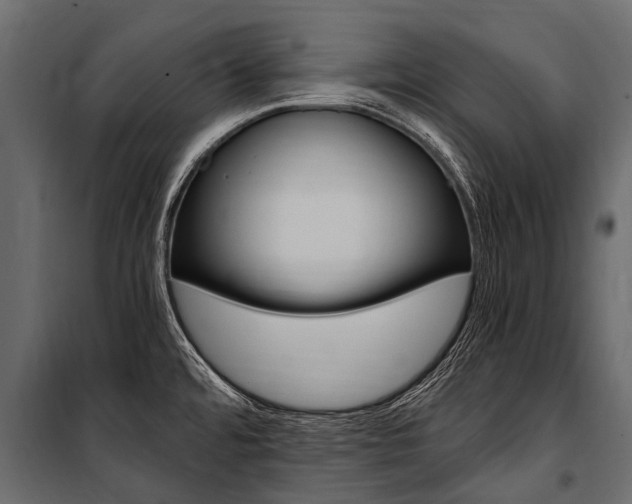 X0000100941480200806241150