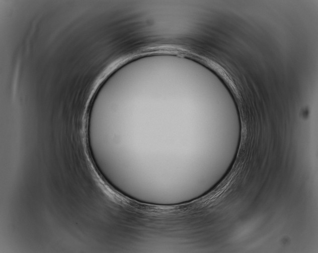 X0000100941482200806241150
