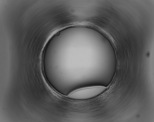 X0000100941483200806241150