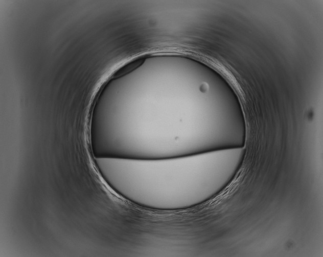 X0000100941485200806241150