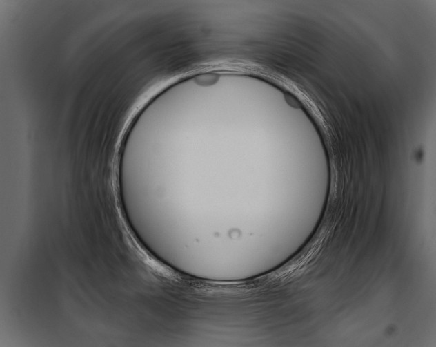 X0000100941486200806241150