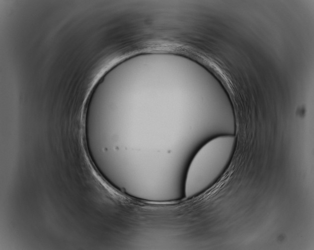 X0000100941487200806241150