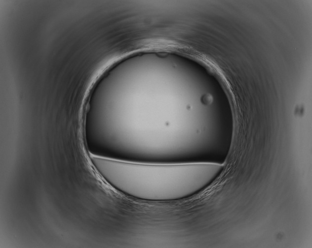 X0000100941488200806241150