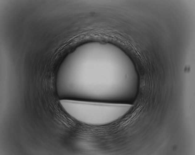 X0000100941490200806241149
