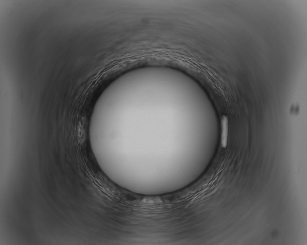 X0000100941491200806241149
