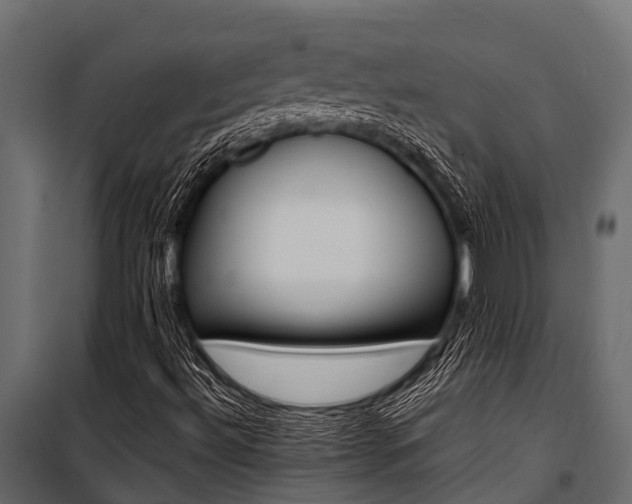 X0000100941492200806241149