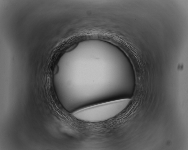 X0000100941493200806241149