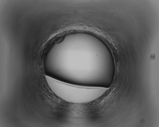 X0000100941494200806241149
