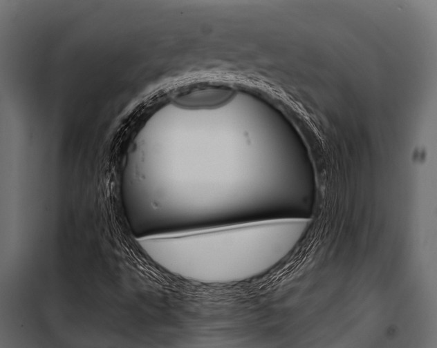 X0000100941495200806241149