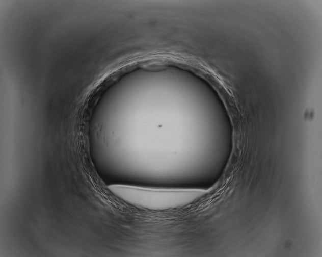 X0000100941496200806241150