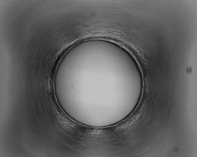 X0000100941497200806241150