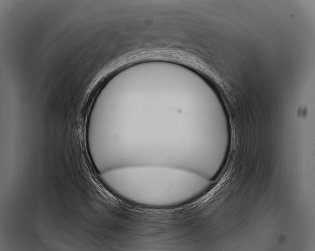 X0000100941498200806241150