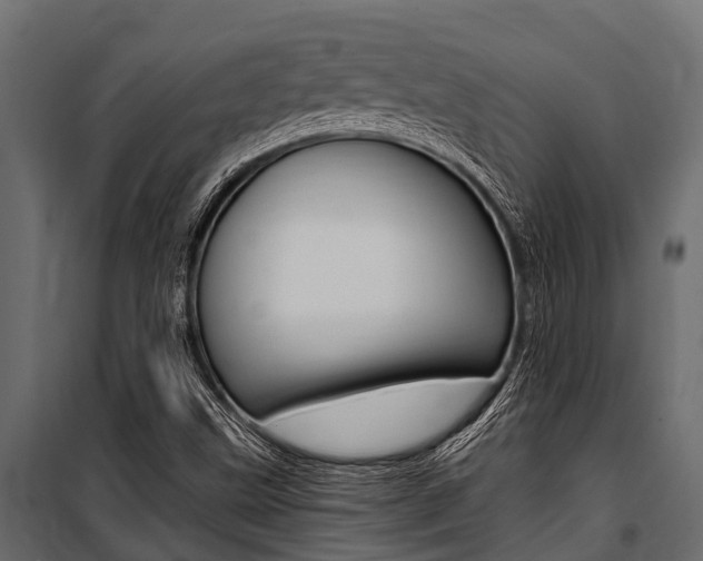 X0000100941499200806241150