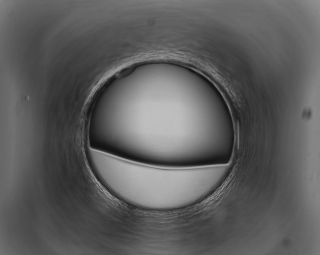 X0000100941500200806241150