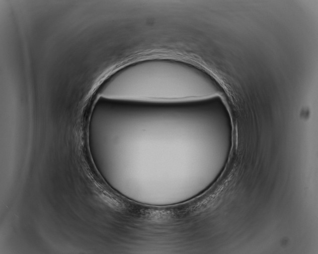 X0000100941501200806241150