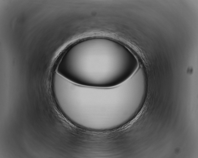 X0000100941502200806241150